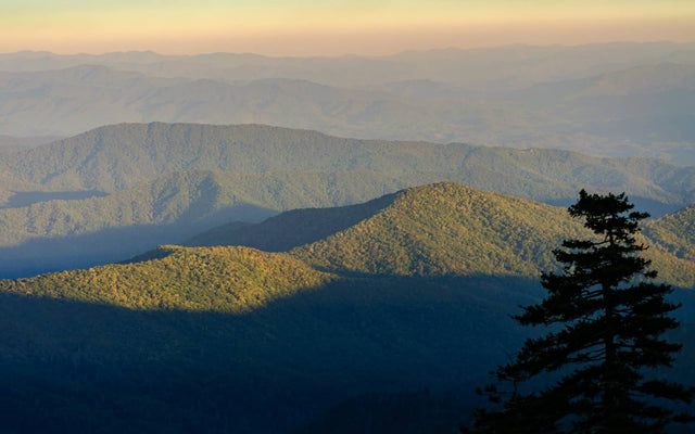 Aerial view of Great Smoky Mountain National Park forest scent by Forester John.