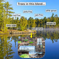 Ottertrack Lake Forester John Essential Oil photo