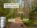 Forester John image of Sweden essential oil forest. Take a walk down forest path.