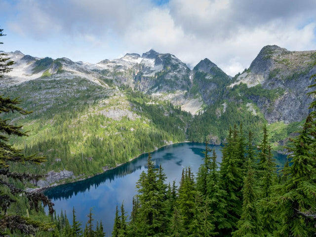 View of North Cascade Mountains National Park lake. Shows tree in Forester John essential oil forest blend.