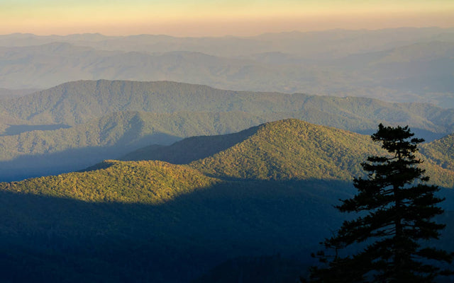 Aerial view of Great Smoky Mountain National Park forest scent by Forester John. 