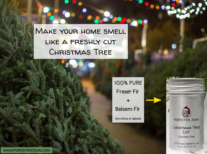 Image of Christmas tree essential oil by Forester John. A tree lot with fraser fir.