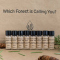 Essential oil samples group photo showing the woodsy scents of the forest.